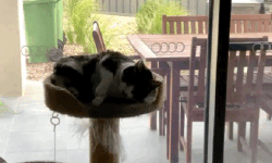 Featured image of post 2022 Recap