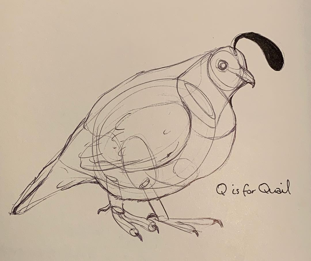 2019 - Q is for Quail